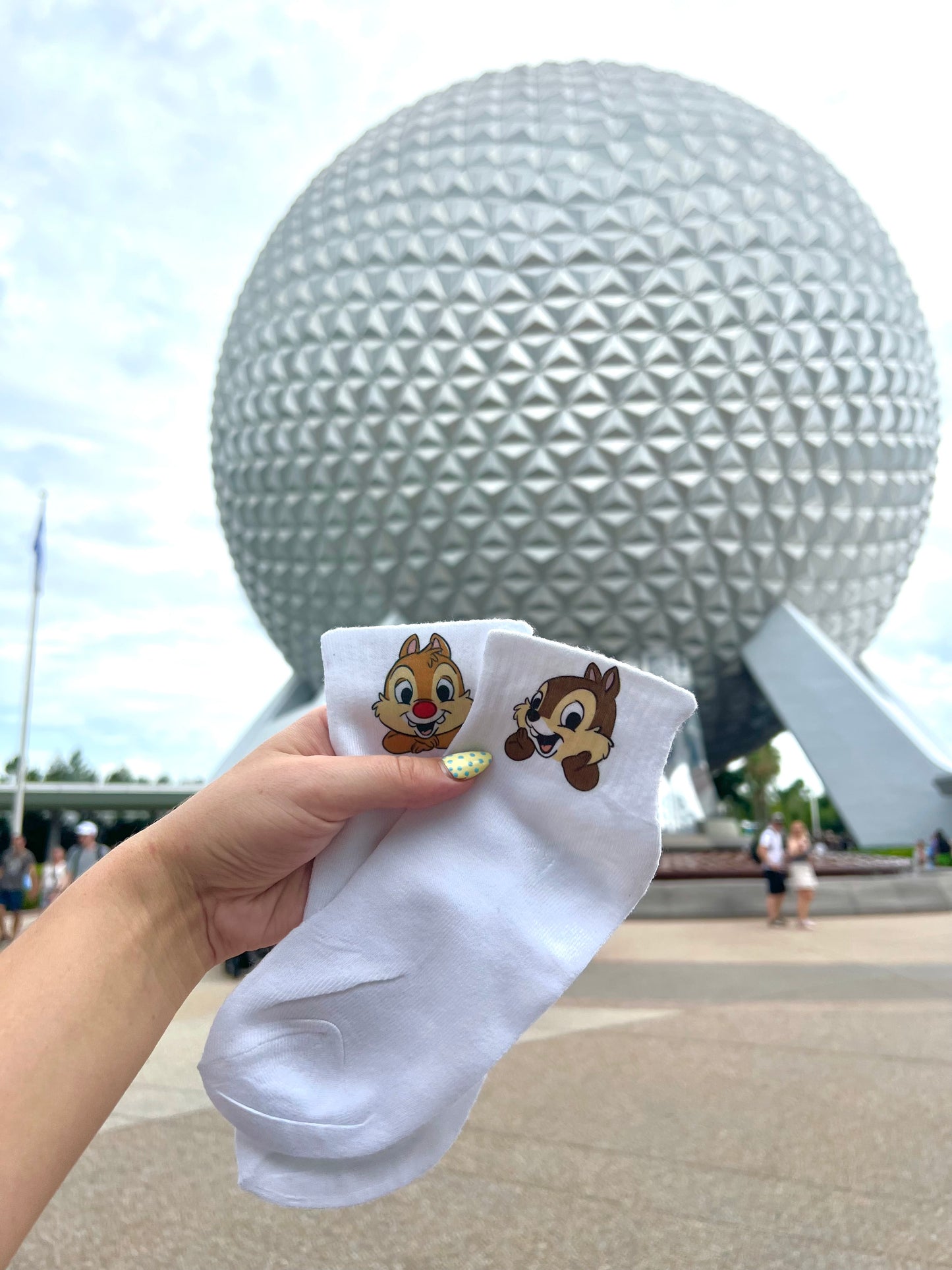 Meet n Greet In The Park Socks
