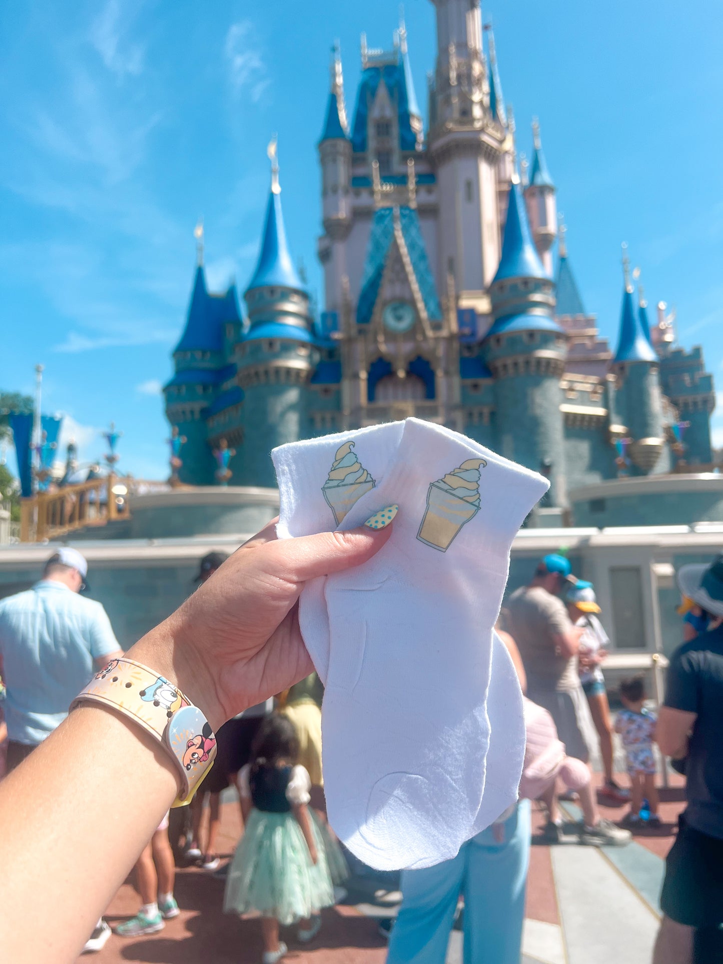Snack In The Park Socks